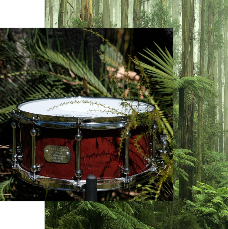 PA Lovetone snare drum among tree ferns