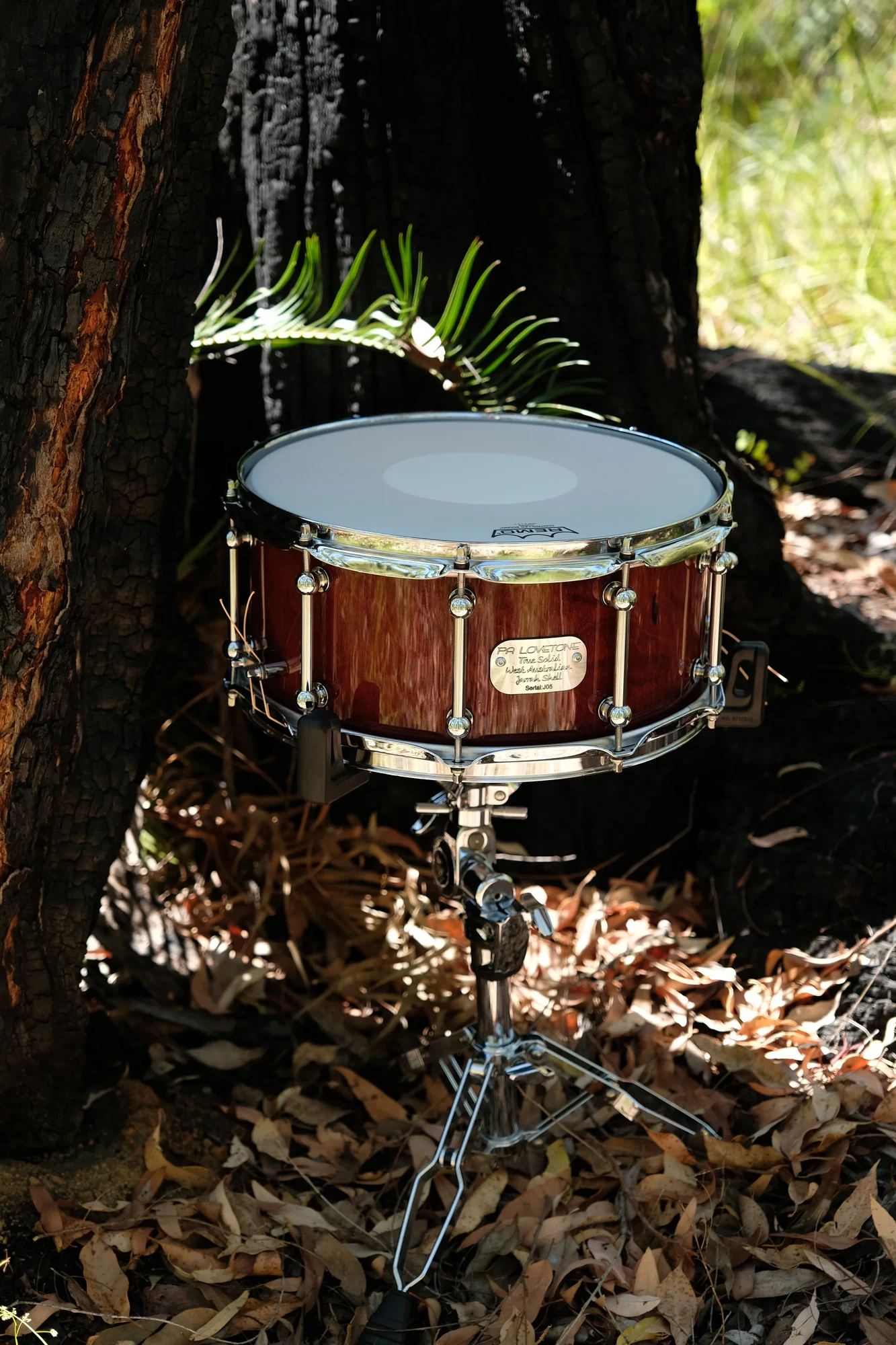 Jarrah 14”x6.5” (Gloss) — view 4