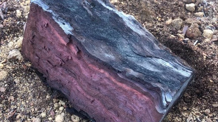 Jarrah log blank