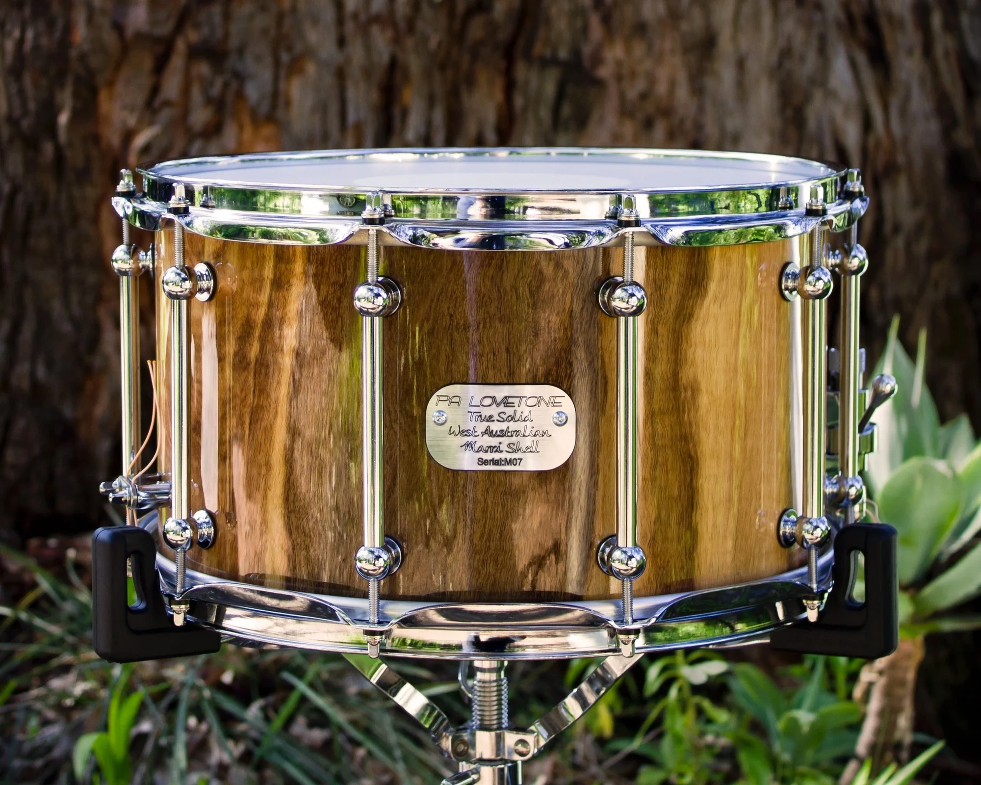 Marri snare drum in the bush