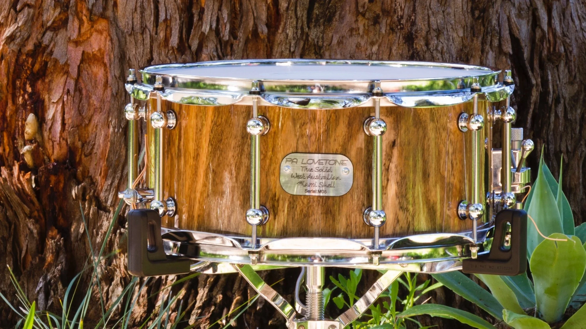 Marri snare drum in the bush