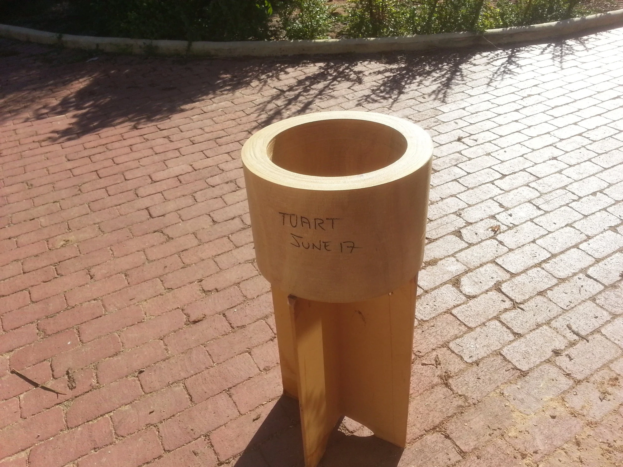 Tuart shell